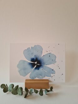 Blüte blau (Auslaufmodell)