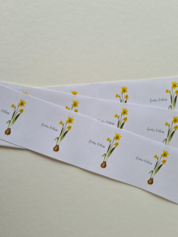 Sticker Narzisse „Frohe Ostern“ 12er Set florale Aquarelle handgemalt Gruß Frühlingszwiebel Ostern Osterkarte Aquarell Postkarten