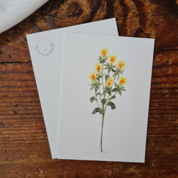 Färber Saflor Postkarte A6 florales Aquarelle handgemalt Grußkarte Blumen flower Frühling – Bild 2