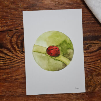 Postkarte Marienkäfer A6 viel Glück Postkarte Ladybug Aquarellgemalte Postkarte
