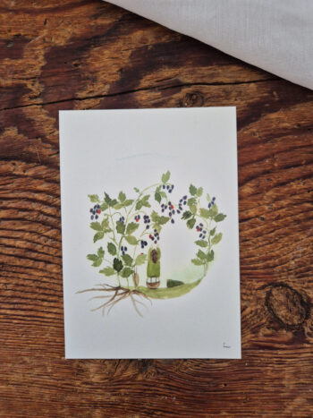 Postkarte Juno und das Waldbeerenmus Schätze der Natur wildes Obst ernten Wald Waldbeermus