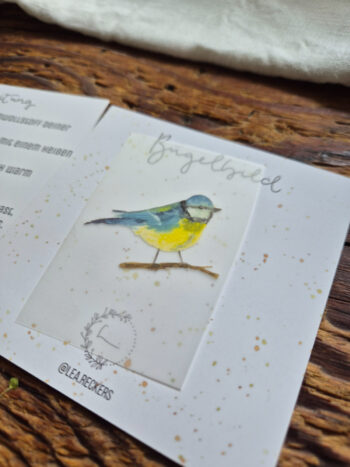 Bügelbild Blaumeise Vögel europäische Singvögel Geburtstag Idee zur Geburt Gruß Glückwunsch Aufkleber Geschenk