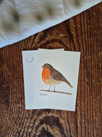 Rotkehlchen A6 Europa Singvogel Postkarte Vogel heimischer Singvogel Aquarellgemalte Postkarte