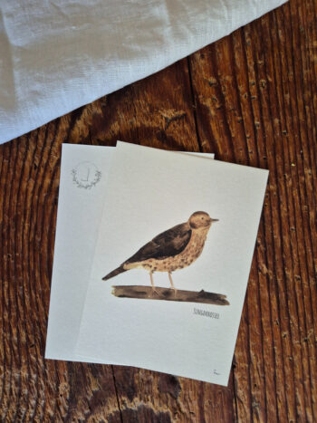 Singdrossel A6 viel Glück Postkarte Vogel heimischer Singvogel Aquarellgemalte Postkarte