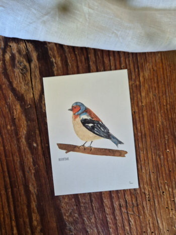 Buchfink A6 viel Glück Postkarte Vogel heimischer Singvogel Aquarellgemalte Postkarte