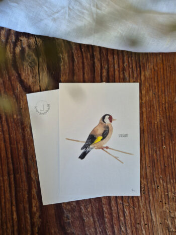 Stieglitz A6 Europa Singvogel Postkarte Vogel heimischer Singvogel Aquarellgemalte Postkarte