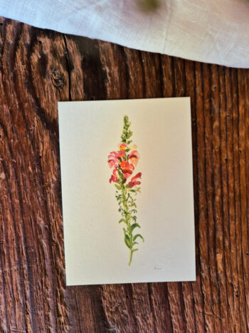 Löwenmäulchen Postkarte A6 florales Aquarelle handgemalt Grußkarte Blumen flower Frühling