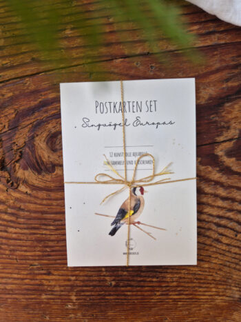Postkartenset 12 Europäische Singvögel A6 Aquarelle Karte Vogel Individuell Natur