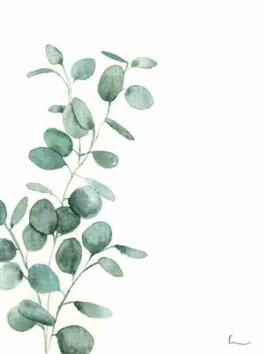 leareckers-aquarellmotiv-eukalyptus